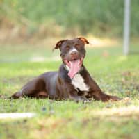 Photo of Molly