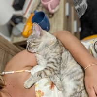 Photo of Chook & Mash 