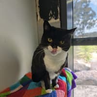 Photo of Wednesday