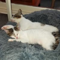 Photo of Kimmie 🌺