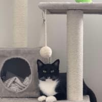 Photo of Nori