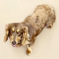 Photo of Matilda