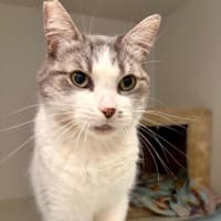 Photo of Mimi