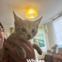 Photo of Eidie (K46)