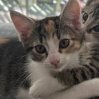 Photo of Kiki   Penelope