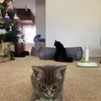 Photo of Tabitha