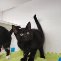 Photo of Disney  Crew