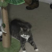 Photo of Sawyer