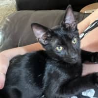 Photo of William