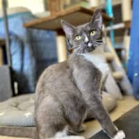 Photo of Edwina & Trixie