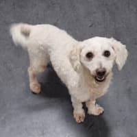 Photo of Sally 