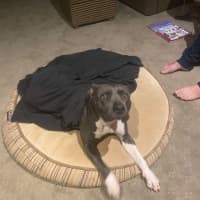 Photo of Estée Lauder