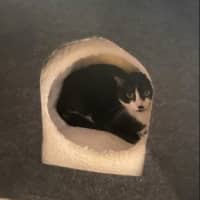 Photo of Charlee