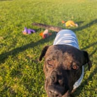 Photo of Tank