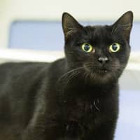 Photo of Leia