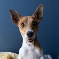 Photo of Crunchie