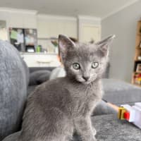 Photo of Harley & Harper