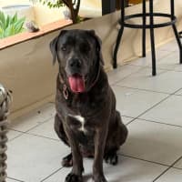 Photo of Polly