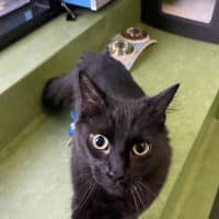 Photo of Zachary Binks