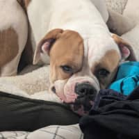 Photo of Timmy