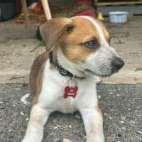 Photo of Milton