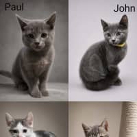 Photo of Paul