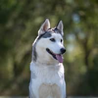 Photo of Crystal