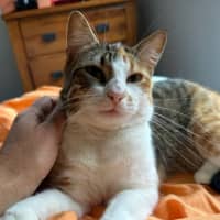Photo of Tilly