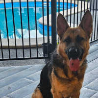 Photo of Shilo