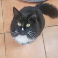 Photo of 💕 Phoebe & Joey 💕