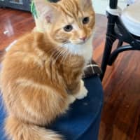 Photo of Dutchie