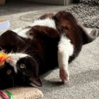 Photo of Penelope Babbington