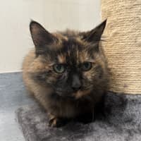 Photo of Lilah
