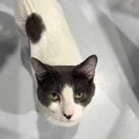 Photo of Pablo 🌟🌴