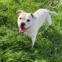 Photo of Tilly