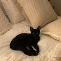 Photo of Sammy