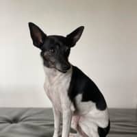 Photo of Tilly And Finn