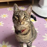 Photo of Tiga & Winnie 