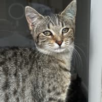 Photo of Twinkle