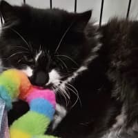Photo of Mrs Tux