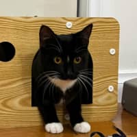 Photo of Luna 