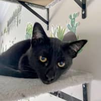 Photo of Sammy