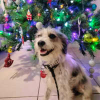 Photo of Missy Muddle