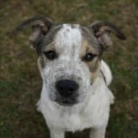 Photo of Betty