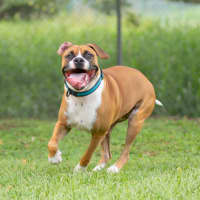 Photo of Bucky