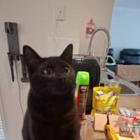 Photo of Terrence