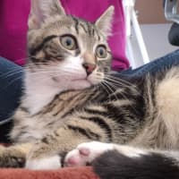 Photo of Max