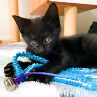 Photo of 🥰 Davis 🥰