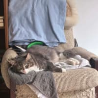 Photo of Sawyer