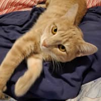 Photo of Chili 🌶️